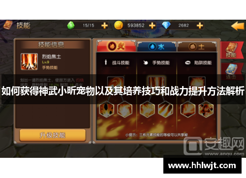 如何获得神武小昕宠物以及其培养技巧和战力提升方法解析
