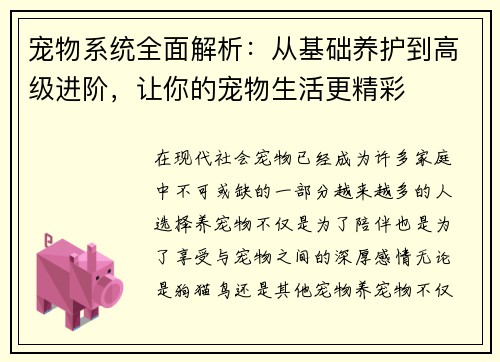 宠物系统全面解析：从基础养护到高级进阶，让你的宠物生活更精彩